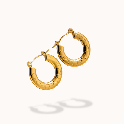 Gold hoop earrings on a white background